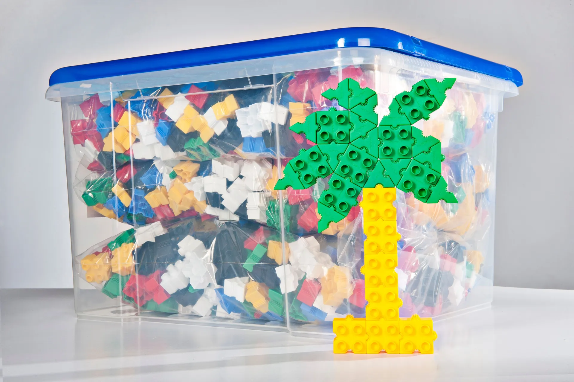 Morphun Junior Box | Dragon Toys_25111_