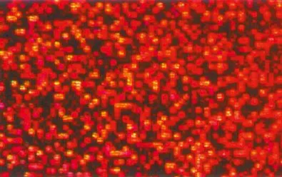 Hologrammfolie selbstklebend, 5 Rollen_U45600-22_