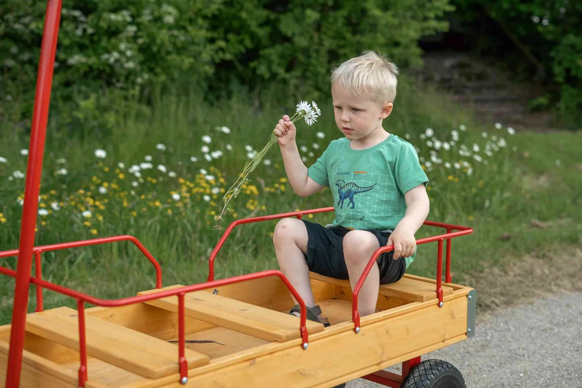 Rose | Bollerwagen XL mit Ballonreifen | 3 Sitzplätze 