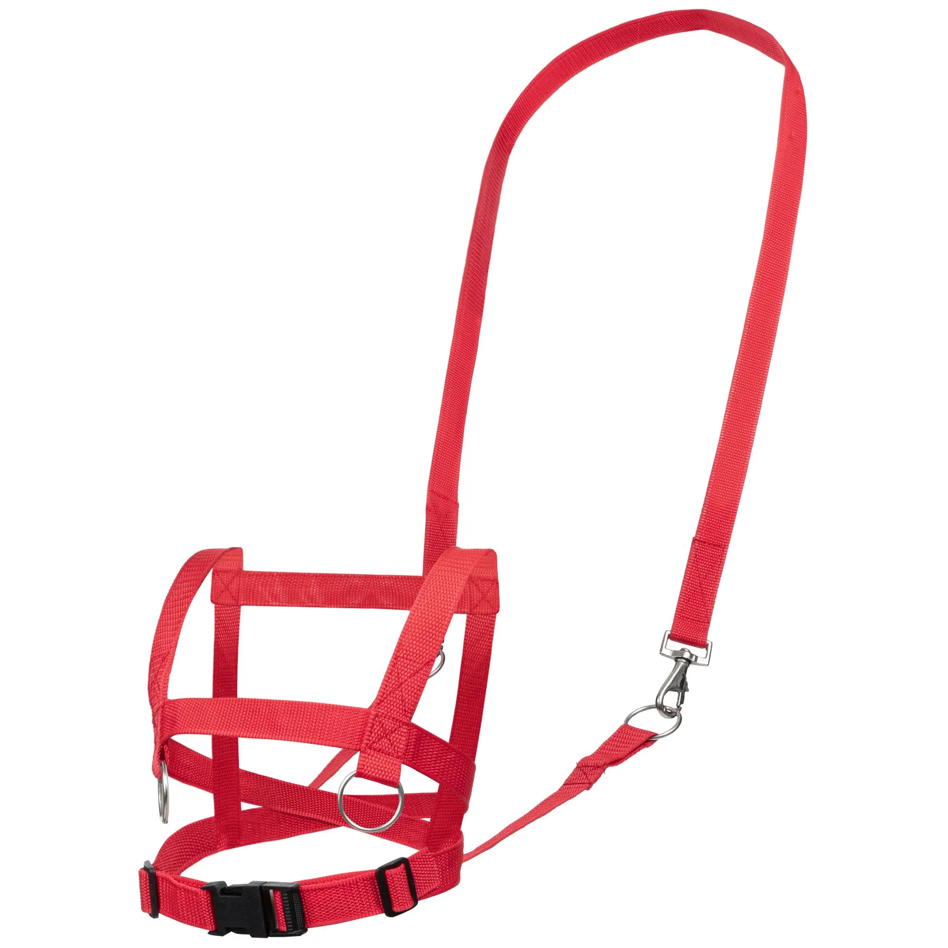 Pferdegeschirr | Dragon Toys