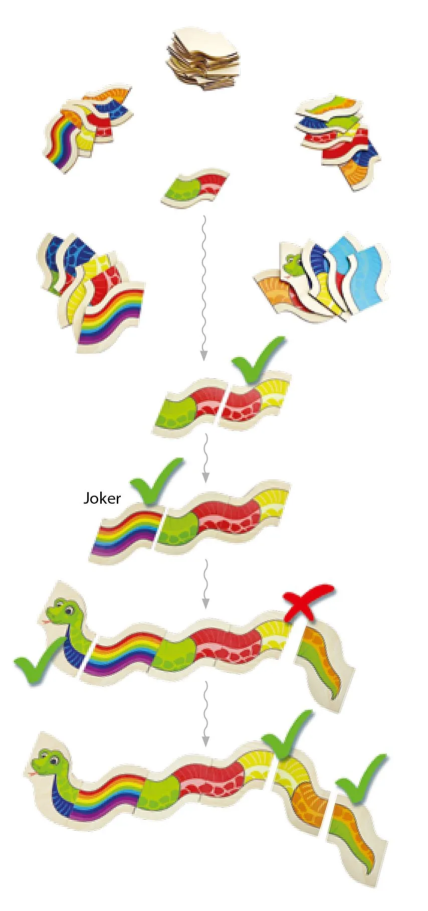 Buntes Schlangendomino_30238_