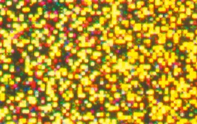 Hologrammfolie selbstklebend, 5 Rollen_U45600-12_