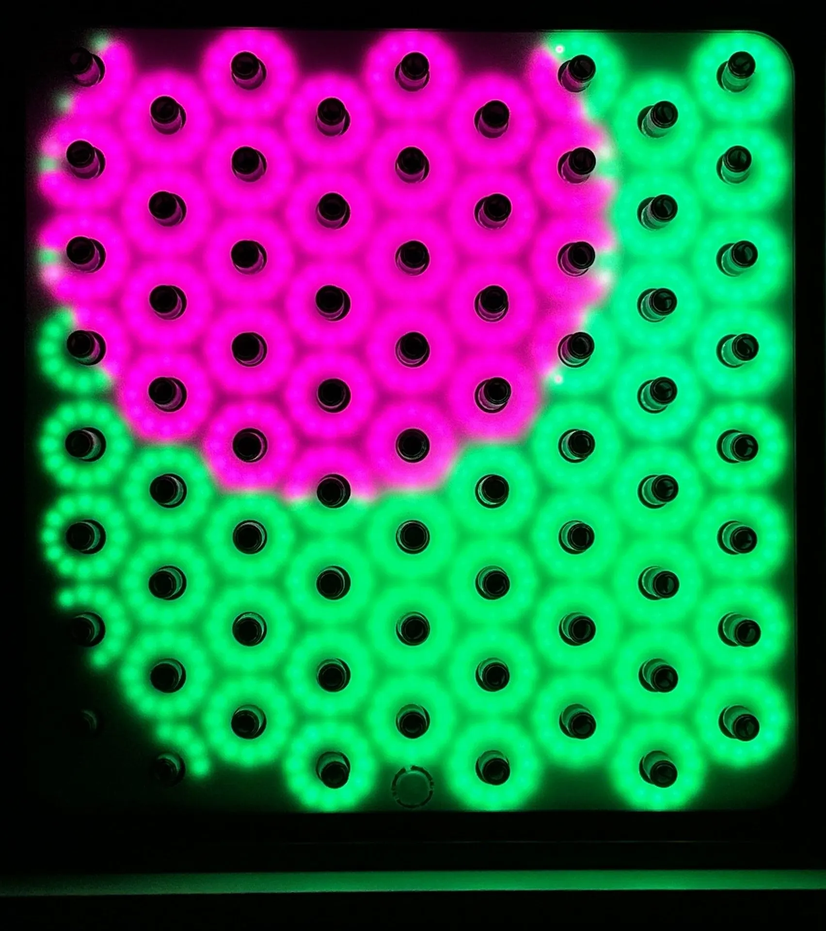 Sensorischer Lichtgarten_40200_