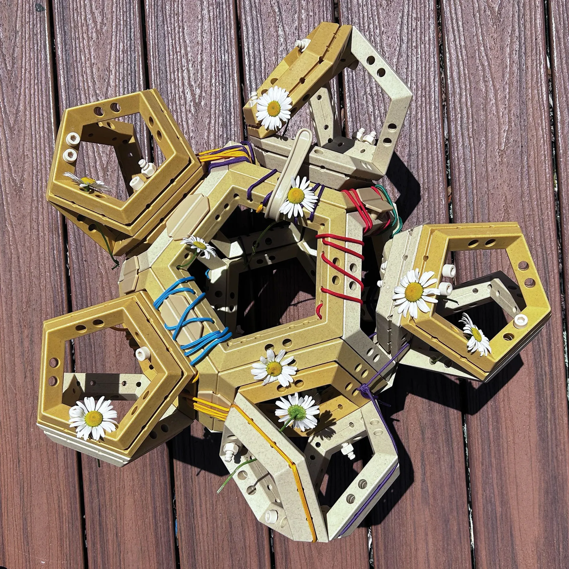 Pentagonus | Dragon Toys_35345_