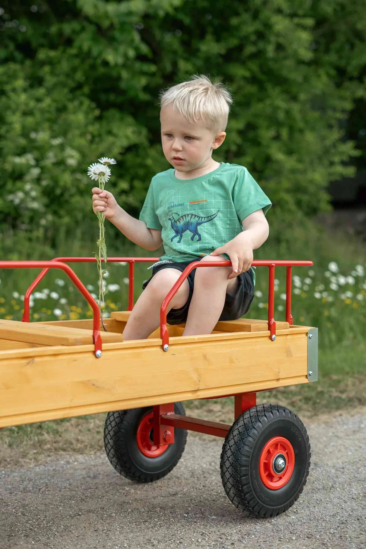 Rose | Bollerwagen XL mit Ballonreifen | 3 Sitzplätze 