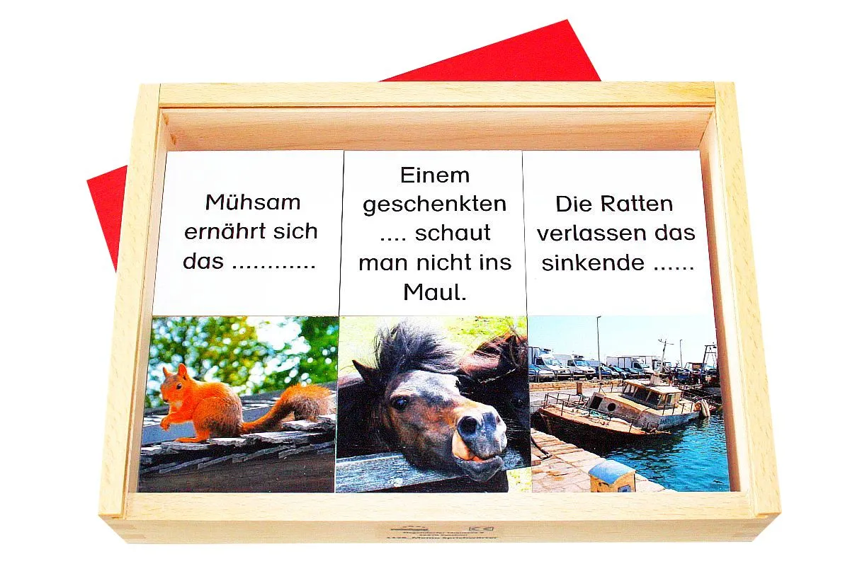 Memory für Senioren "Sprichwörter"