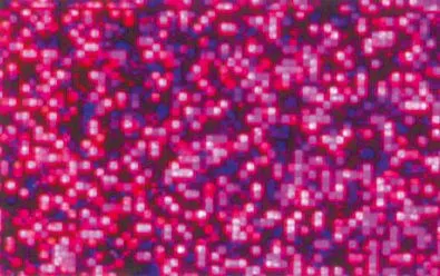 Hologrammfolie selbstklebend, 5 Rollen_U45600-62_