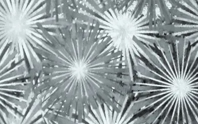 Hologrammfolie selbstklebend, 5 Rollen_U45600-01_