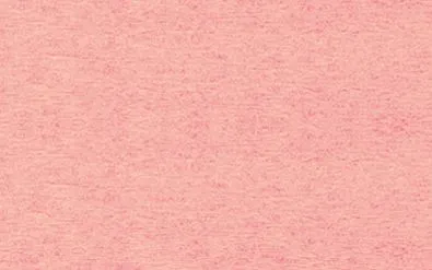 Bastelkrepp, 10 Rollen_U41203-46_