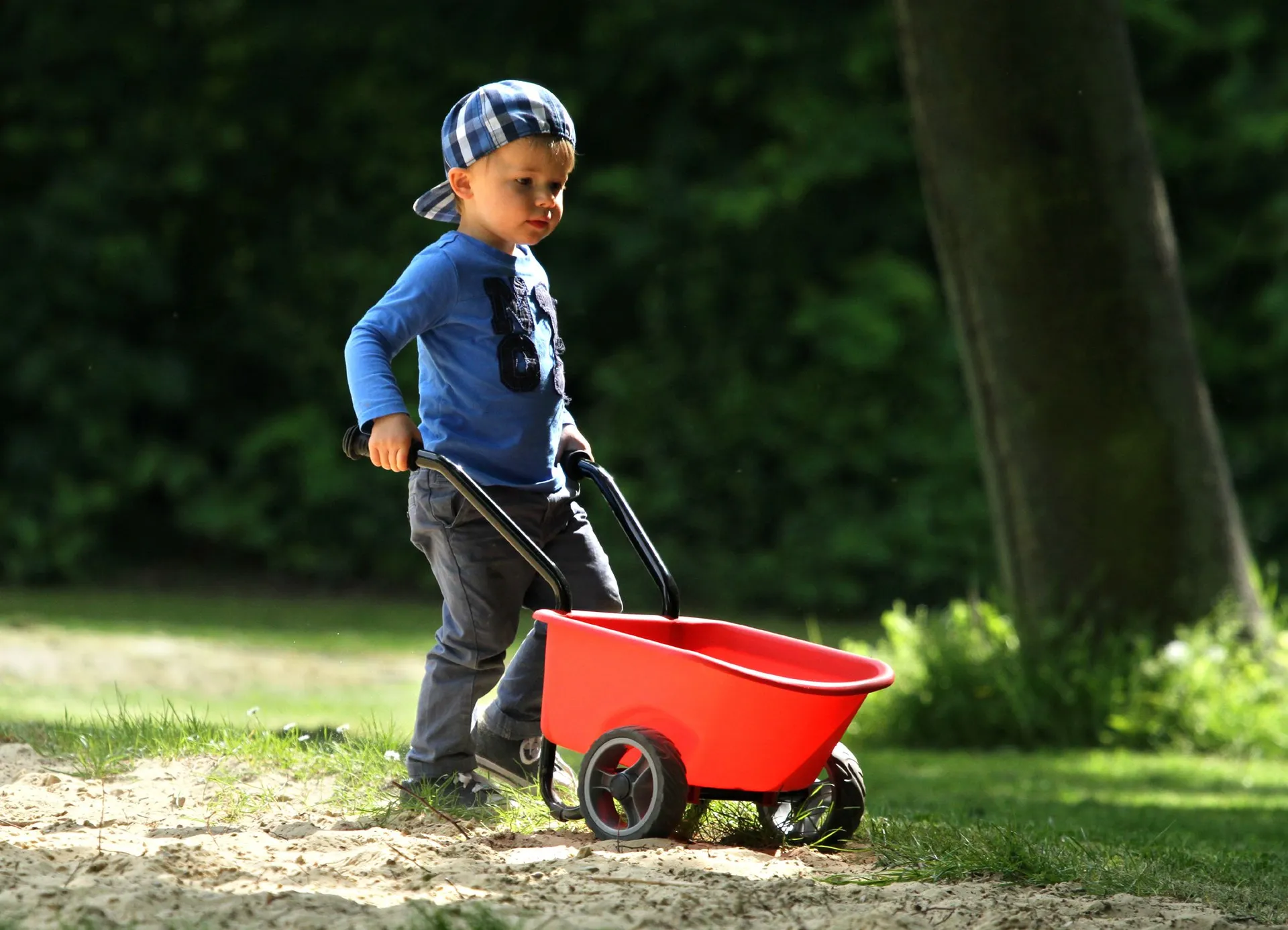 Kinderschubkarre rot (montiert) | Dragon Toys