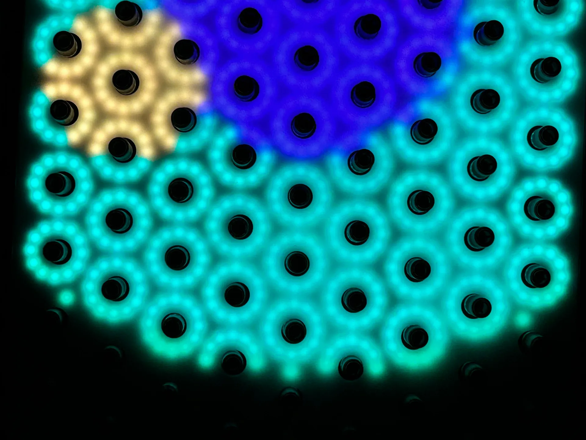 Sensorischer Lichtgarten_40200_