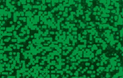 Hologrammfolie selbstklebend, 5 Rollen_U45600-55_