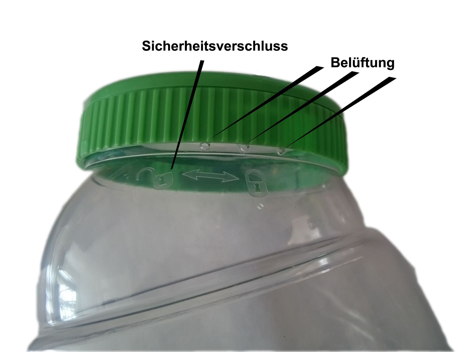 Lupendose groß inkl. 24 Lupendosen klein