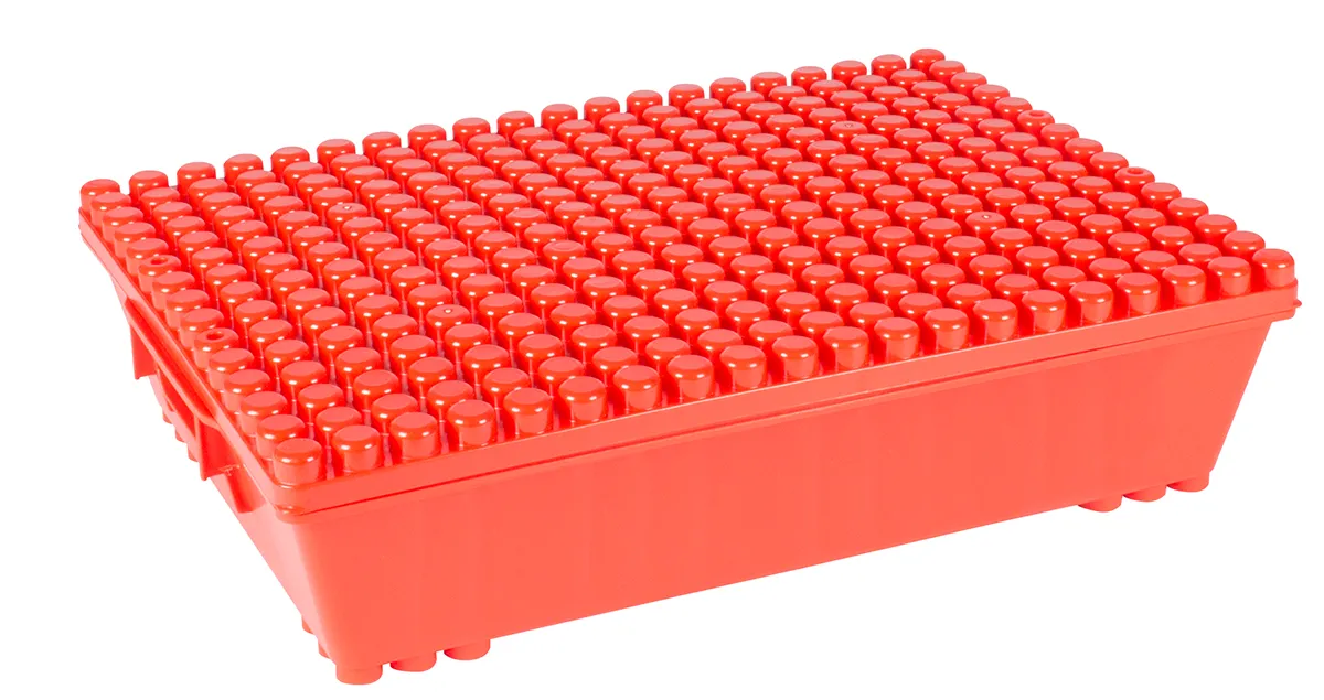 POLY-M | Multibox S mit Deckel Rot | Dragon Toys_24143_