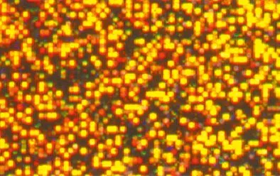 Hologrammfolie selbstklebend, 5 Rollen_U45600-41_