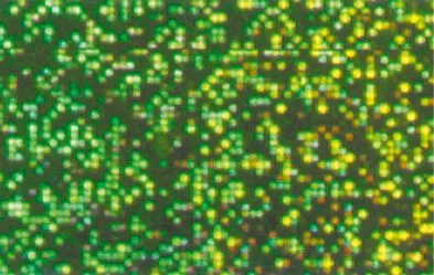 Hologrammfolie selbstklebend, 5 Rollen_U45600-51_