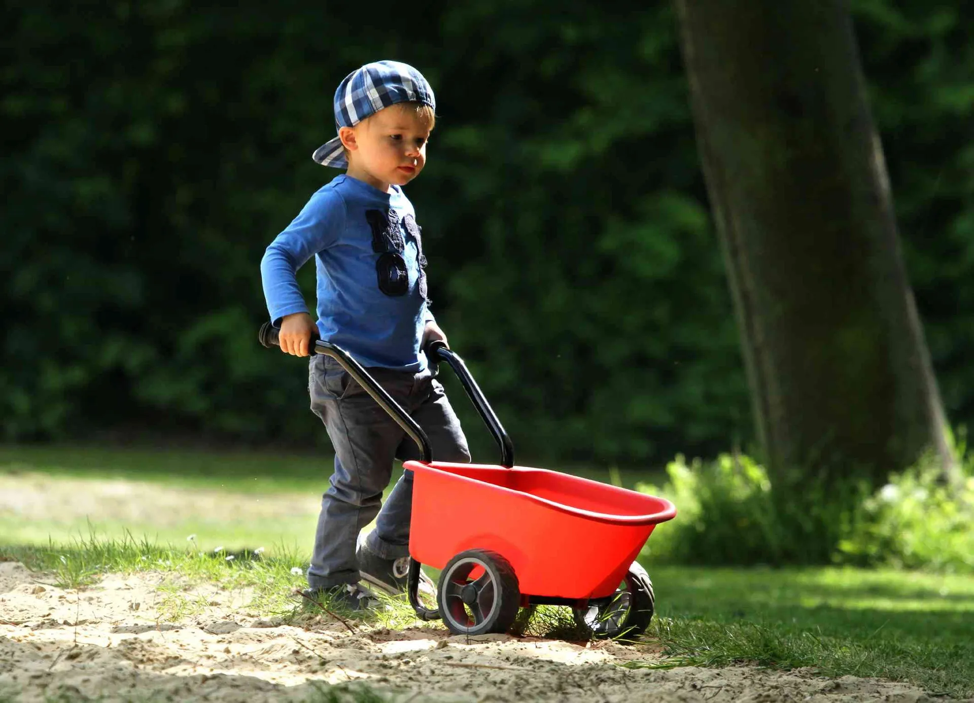 Kinderschubkarre rot (montiert) | Dragon Toys_20402-R_