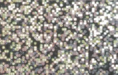 456-00-89_Hologrammfolie