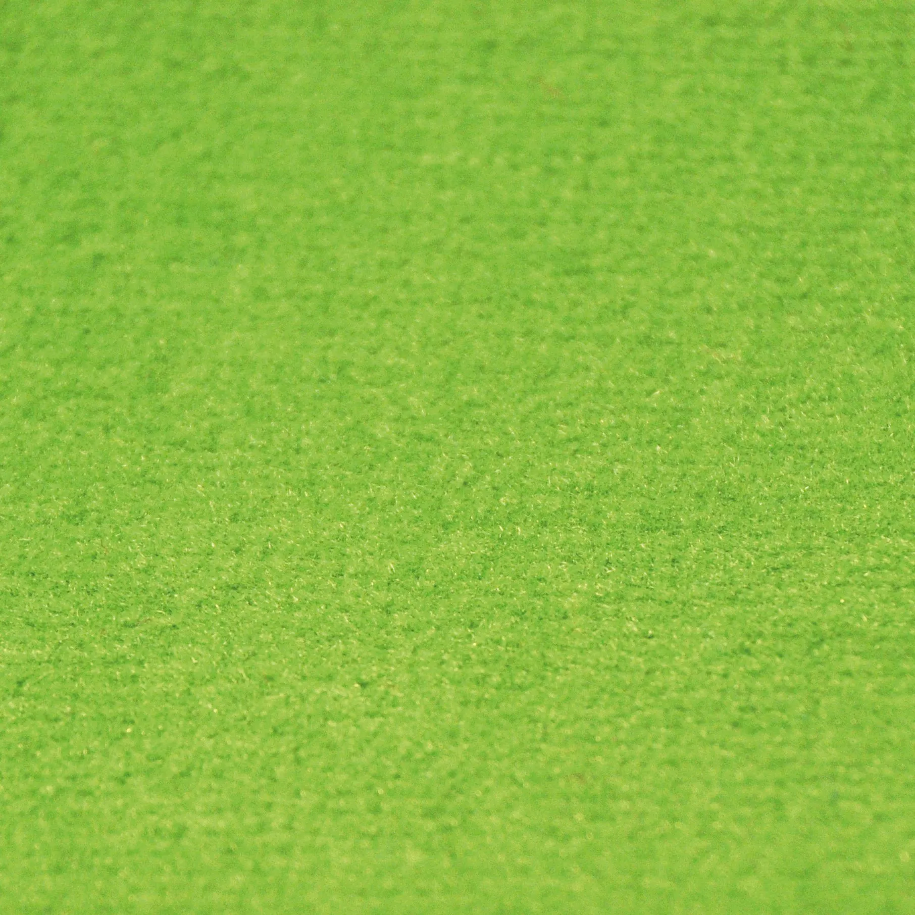 Teppich flammhemmend 2 x 3 m_64180-GRÜN_