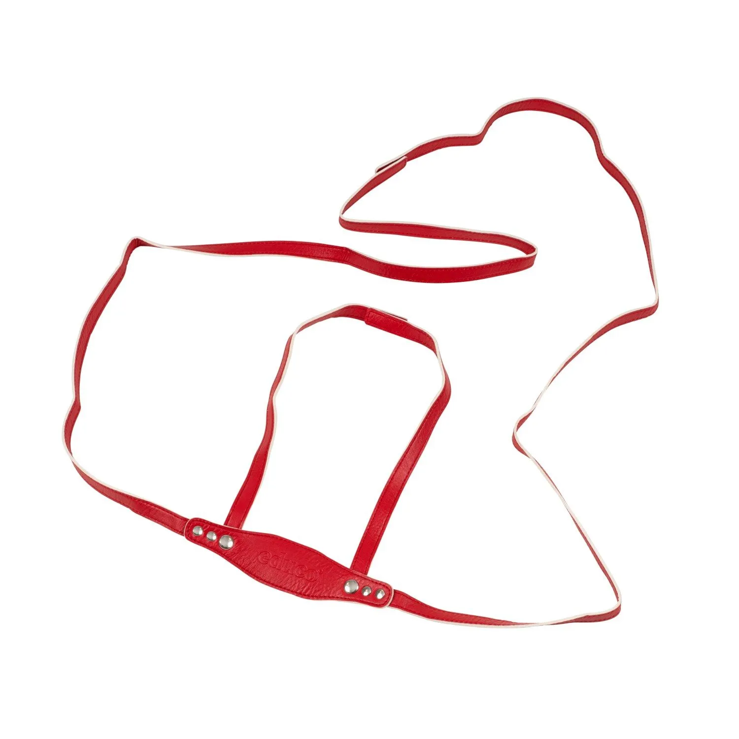 Pferdeleine | EDUCO
