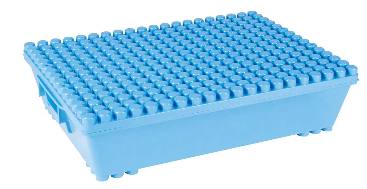 POLY-M | Multibox S mit Deckel Blau | Dragon Toys_24144_